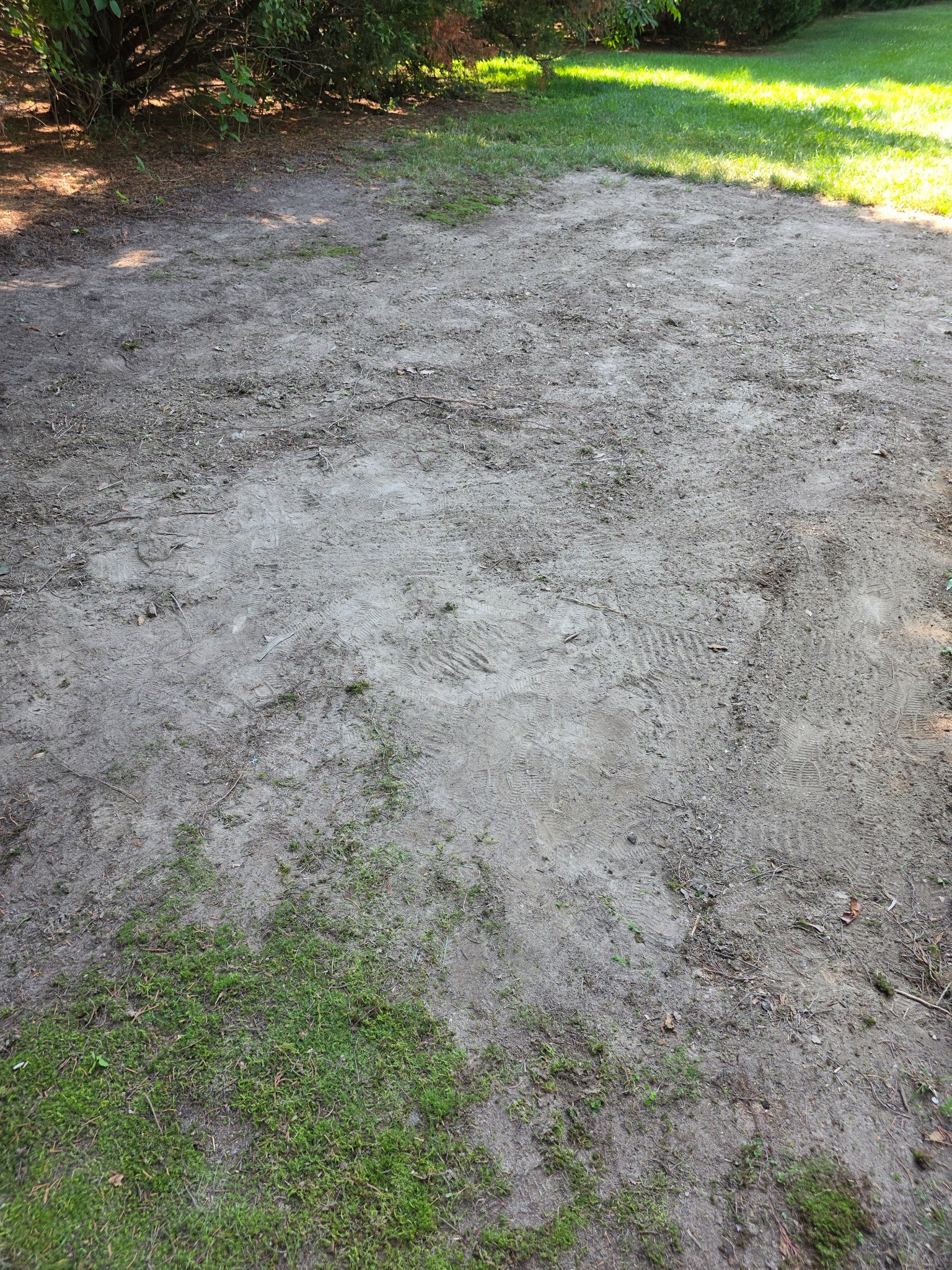 Shed site cleared by Rubbish